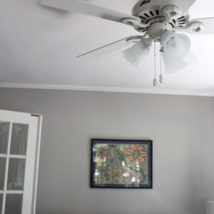 Residential Interior Painting Services in Gastonia, Belmont, and Charlotte, NC.