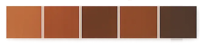 2026 most popular earth tone paint colors