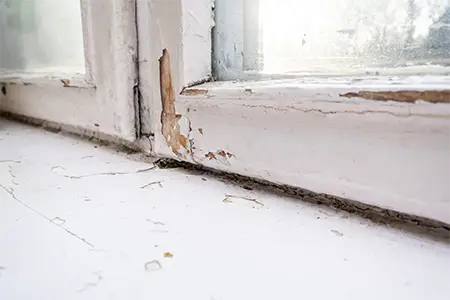 Paint Peeling from Moisture